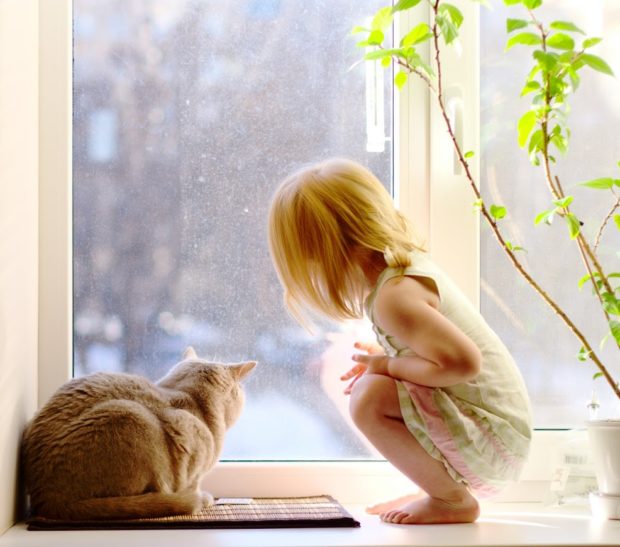 Kid Sitting infront of Cat
